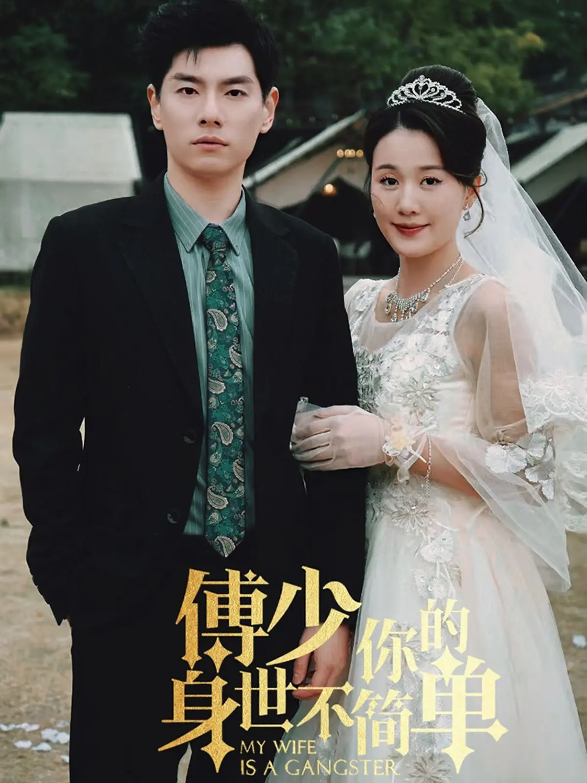 《傅少你的身世不简单》：霸道总裁的豪门恩怨，甜宠与阴谋交织的爱情故事！