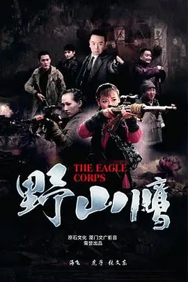 《野山鹰》：巾帼不让须眉，看女战士如何智勇双全，燃爆敌后战场！