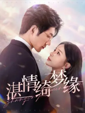 《沉沦（湛情琦梦缘）》：欲望与救赎，一段禁忌之恋的挣扎！