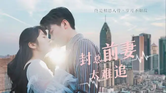 《封总前妻太难追》：破镜能否重圆？一场关于爱情、金钱与救赎的深情羁绊！