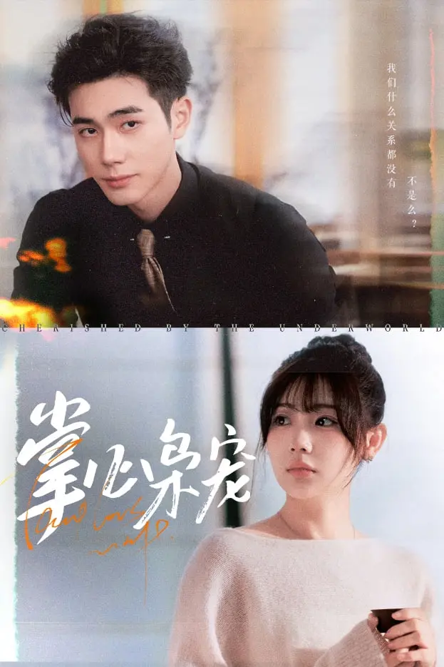 《只对你装乖》：反差萌下的深情告白，甜宠背后隐藏的秘密值得守护！